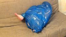 Stella - Ball in Müllbeutel verpackt (video)