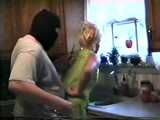 HCA Videos #4 Part 3 "Minx"