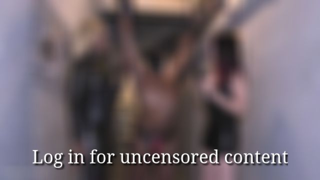 Whip Art - Full clip