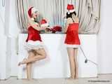 Weihnachtsbaum Geschichte mit Lucky, Nelly und Xenia - Teil eins