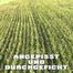ANGEPISST UND DURCHGEFICKT