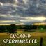 CUCKOLD SPERMARETTE