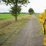 Miss Amira on the road in a Frisian mink, yellow rain dungarees and rubber boots
