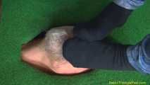 Daliah, sock-eating and smelling under pressure
