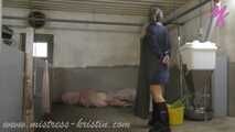 Clip #008 Feeding my pigs—the mixed group #humanpig in the real #barn