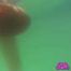 406 Underwater love
