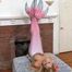 Good Night, And Good Knot - Part Three - Alix Lynx