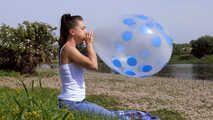 1286 B2P TT17 Polka Dot
