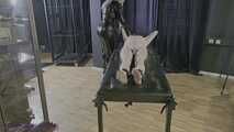 Horny sexism of the slave part 1
