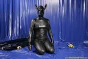 Rubber Dog Routine 2