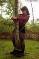 Jasmin 014