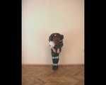 [From archive] Liska escapes from the trash bag mummification