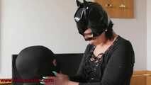 Domi Cat Face Slapping and Spitting