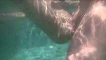 FUCKED IN THE SWIMMING POOL