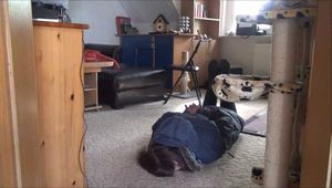 Audrey - Raid Part 2 of 6