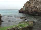 030038 Salma Takes A Scenic Pee Into The Bay