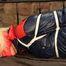 Pia tied, gagged and hooded in a princess bed wearing a sexy darkblue/red oldschool downwear (Video)