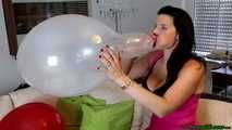 sexy busty Blow2Pop transparent Belbal 14"