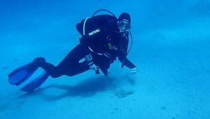 A short underwater video