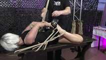 A new Hogtie Challenge for Lena King