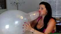 sexy busty Blow2Pop transparent Belbal 14"