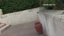 161181 Eve Wastes No Time In Peeing In The Ashtray