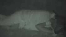 VOYEURFUN 1818 part 2