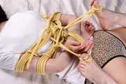 Black Shark tied with ropes