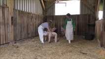 Hausschlachtung des Schweinchens im Stall
