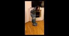 Bonnie Woods - Trashbag self package (video)