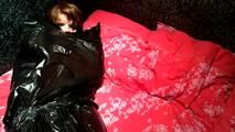 [From archive] Stella - packed in the trash bag on the bed and escapes