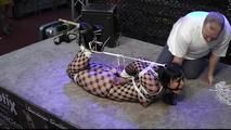 Incredible Hogtie