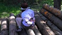 Aurora toweltied on trees 2/2