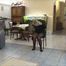 Paula - New prisoner in the house Part 5 of 8