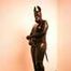 Lana latex covered