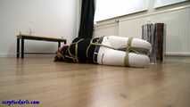 I found it and now I want to be hogtied (4k)