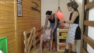 Das 5 Euro Schlachtschwein 