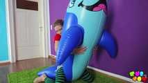 31 Susi's Blue Dolphin Dream