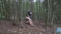 Ayu tree tied 1/2