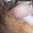 AB-068 Kept like a Dog  - Part 5