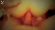 ANAL 26 CM