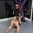 Powerful Ballbusting