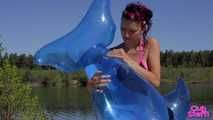 264 Whale washing