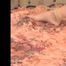 Alice Lee52 -  Topless Spread Eagle (remastered video)