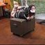 Ultra Tight Hogtie for JJ Plush & Bettine