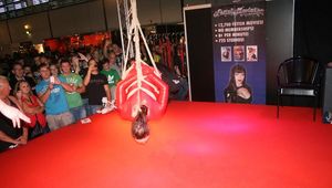 Ball Tie Suspension for Katarina Blade