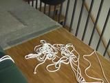 Lycra Hogtied