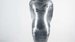 Sinha wrapped up