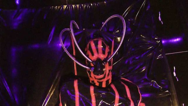 Lady Ashley - The Determination