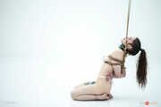 The initiation of TatiAna